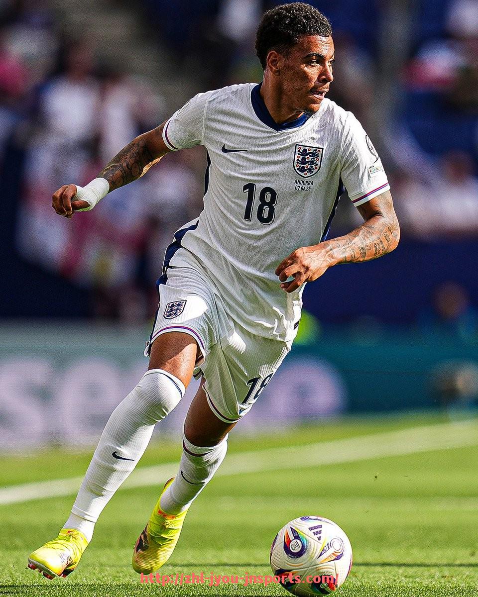 jiuyou九游娱乐-德甲的球队文化：传承与创新的碰撞